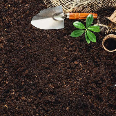 ขายธุรกิจทดสอบดินเพื่อการเกษตร ใบรับรองระดับโลก บริการตรวจสอบสิทธิ์โดยบุคคลที่สาม