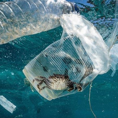 ห้องปฏิบัติการทดสอบดินและน้ำ Ul การศึกษา การปนเปื้อนทางชีวภาพ หน่วยงานตรวจสอบสิทธิ์บุคคลที่สาม