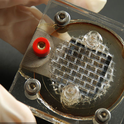 Reverberator Equipment Electronics Testing Labs บริษัท EMC LPS SELV บริการทดสอบและรับรองความถูกต้องของบุคคลภายนอก