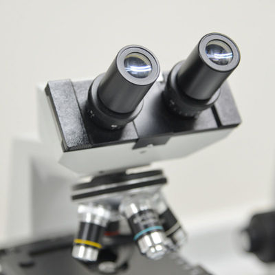 ขายธุรกิจทดสอบดินเพื่อการเกษตร ใบรับรองระดับโลก บริการตรวจสอบสิทธิ์โดยบุคคลที่สาม