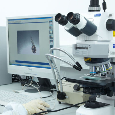 บริการออกใบรับรอง Iso CE Lab GTS Electric Razor บริการตรวจสอบสิทธิ์โดยบุคคลที่สาม