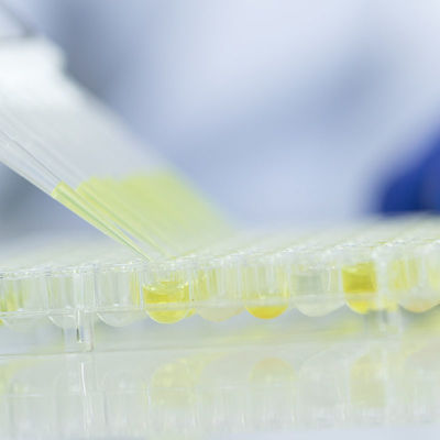 บริการห้องปฏิบัติการทดสอบอาหารแก้ว ห้องปฏิบัติการที่ได้รับการรับรองจากองค์การอาหารและยา บริการตรวจสอบสิทธิ์โดยบุคคลที่สาม